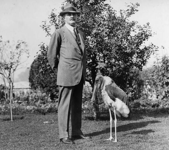 “Lord Allenby - The “man of the moment” with his curious friend - an old Marabout stork that no one can handle but the famous field marshal.” Cairo, 1922
