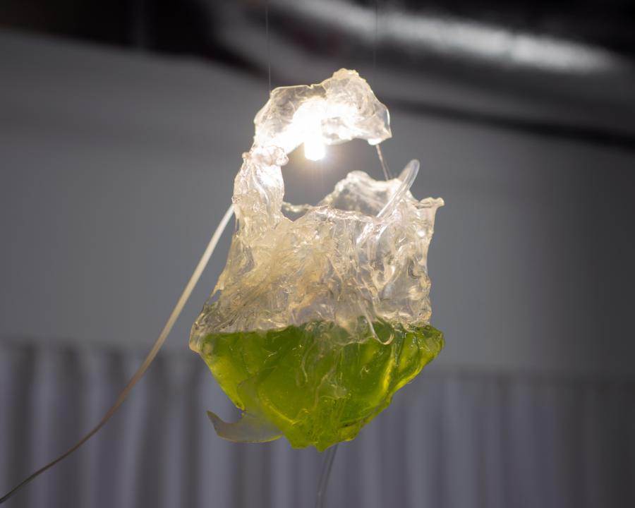 Cammack Lindsey: Wem gehört die Welt?, 2023, sound installation, PCB, hydrophone, Microcystis aeruginosa, water samples from Müggelsee, epoxy/ thermoplastic containers, vinyl map, photo: courtesy of Le CCINQ & Miguel Pazó Cammack Lindsey: Wem gehört die Welt?, 2023, sound installation, PCB, hydrophone, Microcystis aeruginosa, water samples from Müggelsee, epoxy/ thermoplastic containers, vinyl map, photo: courtesy of Le CCINQ & Miguel Pazó