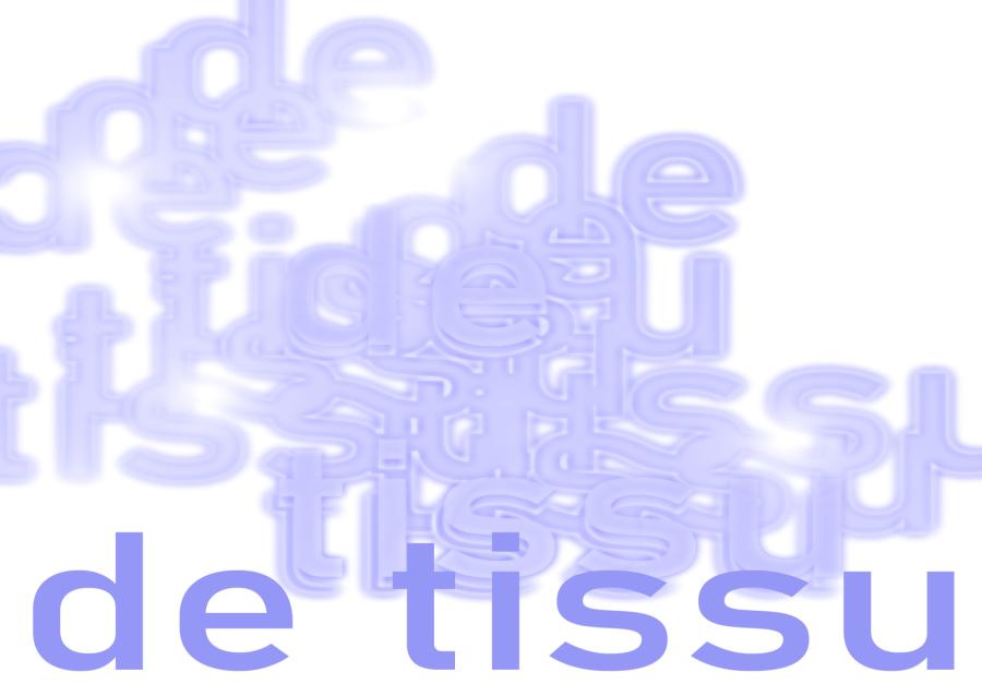 „de tissu” Ricarda Hoop / Andrea van Reimersdahl