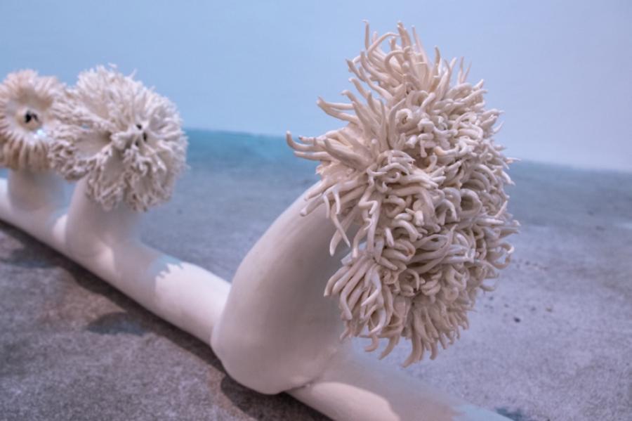 Caption: Elisa Strinna, Third Nature; Electrical Symbiosis; Cables and Sea  Anemone, 2021, photo: Elisa Strinna
