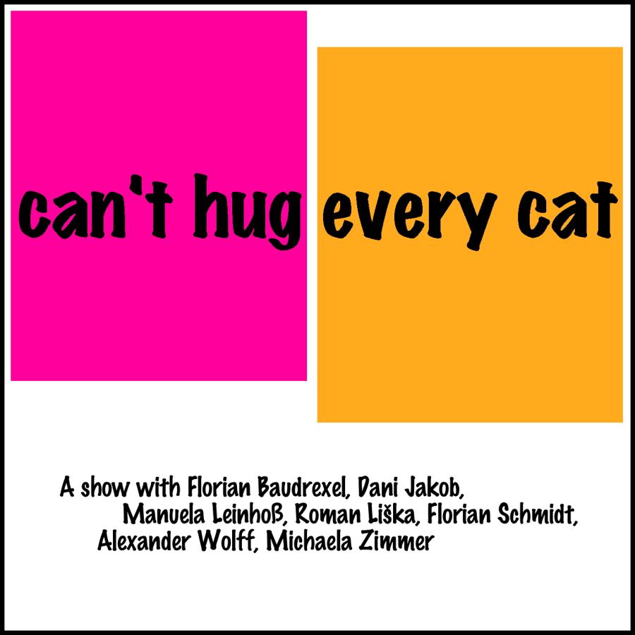  can't hug every cat