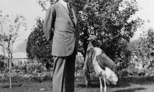 “Lord Allenby - The “man of the moment” with his curious friend - an old Marabout stork that no one can handle but the famous field marshal.” Cairo, 1922