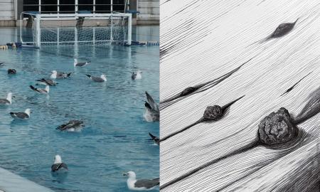 Moving on Shifting Grounds - Janis Schroeder + Ralf Tekaat
