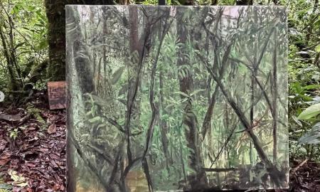 Painting in a cloud forest, North Highlands, Guatemala, 2023 Photo by Haley Mellin