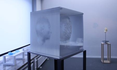HyungJun Park: I am an Artefact, 2012, mixed media installation, MRI scan, two-channel video, beeswax, acrylic panel, Aerogel, ultrasonic humidifier