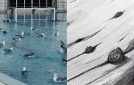 Moving on Shifting Grounds - Janis Schroeder + Ralf Tekaat